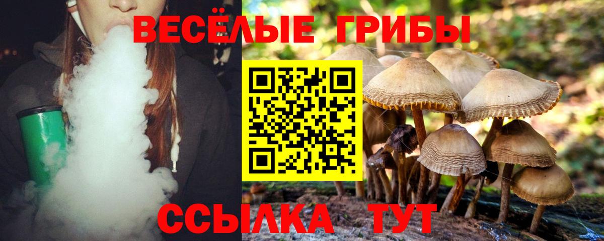 Псилоцибиновые грибы Psilocybe Коммунар